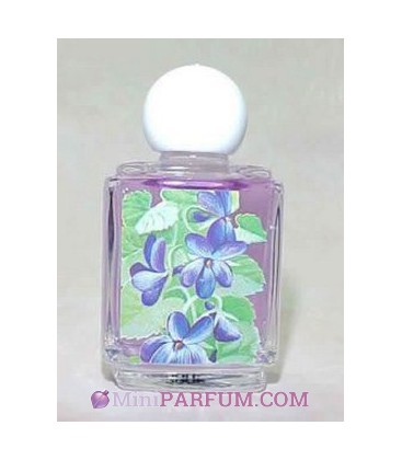 Violettes de Toulouse