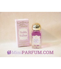 Violettes de Toulouse