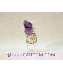 Violettes de Toulouse