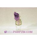 Violettes de Toulouse