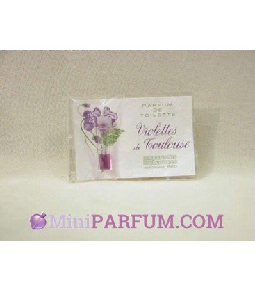 Violettes de Toulouse