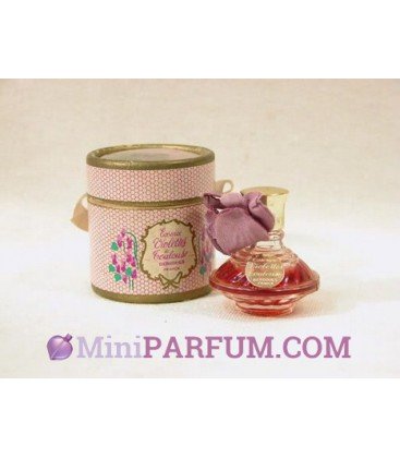 Violettes de Toulouse