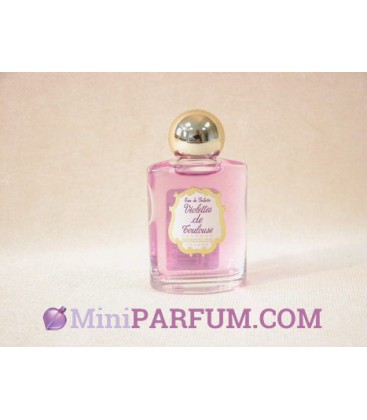 Violettes de Toulouse