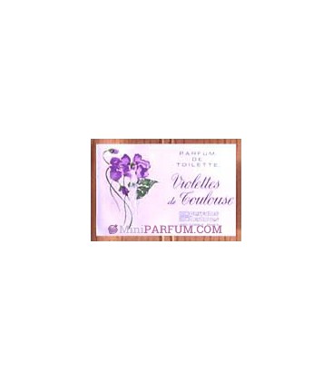 Violettes de Toulouse