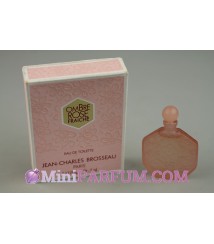 Ombre rose - fraiche
