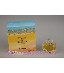 Fleur de rocaille