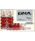 DNA