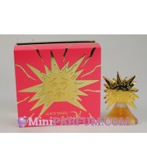 Le roy soleil