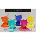 Coffret - Le roy soleil in colors