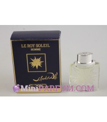 Le roy soleil
