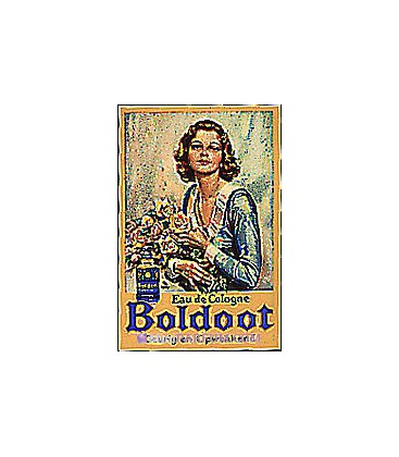 Boldoot