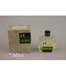 H pour homme - Lavande