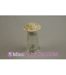 Gardenia