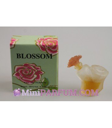 Blossom