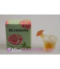 Blossom
