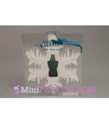 Le mâle - Flocon de noël 2011