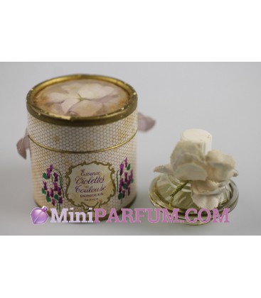 Violettes de Toulouse