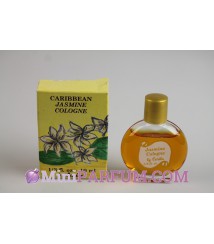 Caribbean - Jasmine