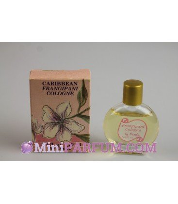 Caribbean - Frangipani