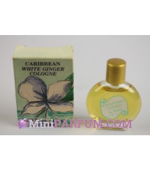 Caribbean - White ginger