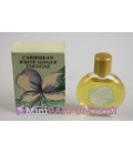Caribbean - White ginger