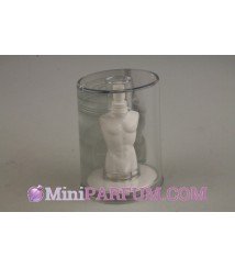 Fleur du mâle Fleur du mâle