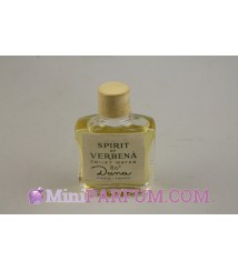 Spirit of verbena