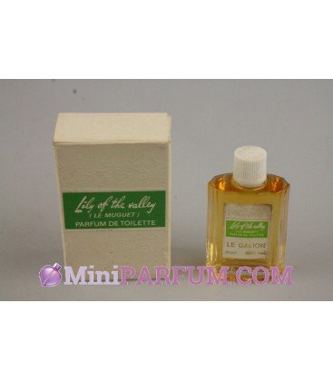 Lily of the valley (Le muguet)