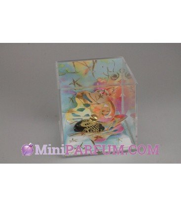 L - Saint Valentin 2008 - Trésor de nature