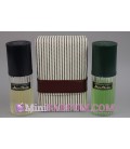 Set moustache - Air France