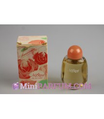 Milrose - Bon anniversaire