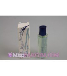 Folie de saisons - Fantaisies d'hiver