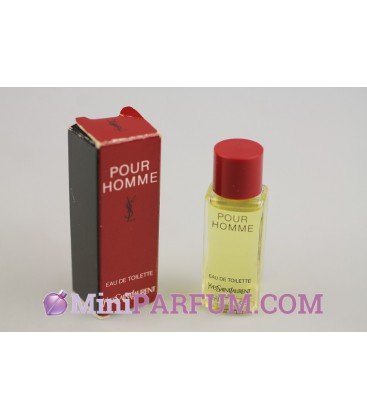 Ysl