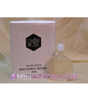 Ombre Rose