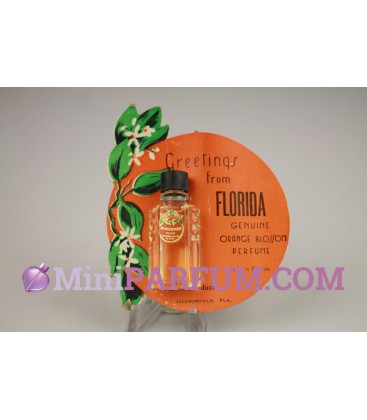 Orange blossom