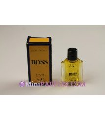 Boss spirit