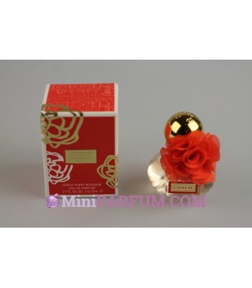 Coach poppy - blossom