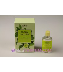 Lime & Nutmeg