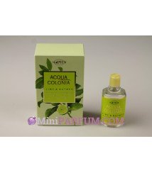 Lime & Nutmeg