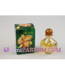 Orchidée