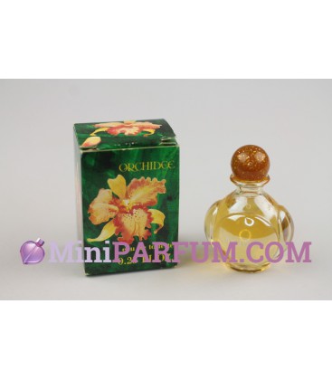 Orchidée