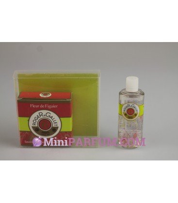 Fleur de figuier