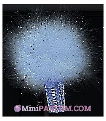 Plumes