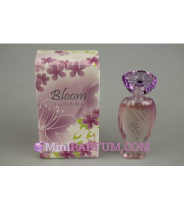 Bloom violet