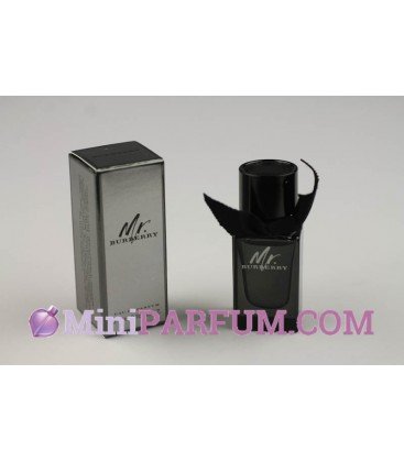 Mr Burberry