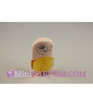 Le jardin - Fleur de rose