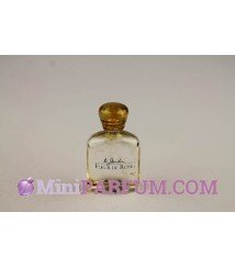 Le jardin - Fleur de rose