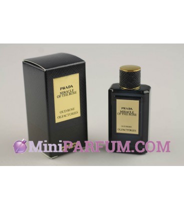 Miracle of the rose - Oud rose