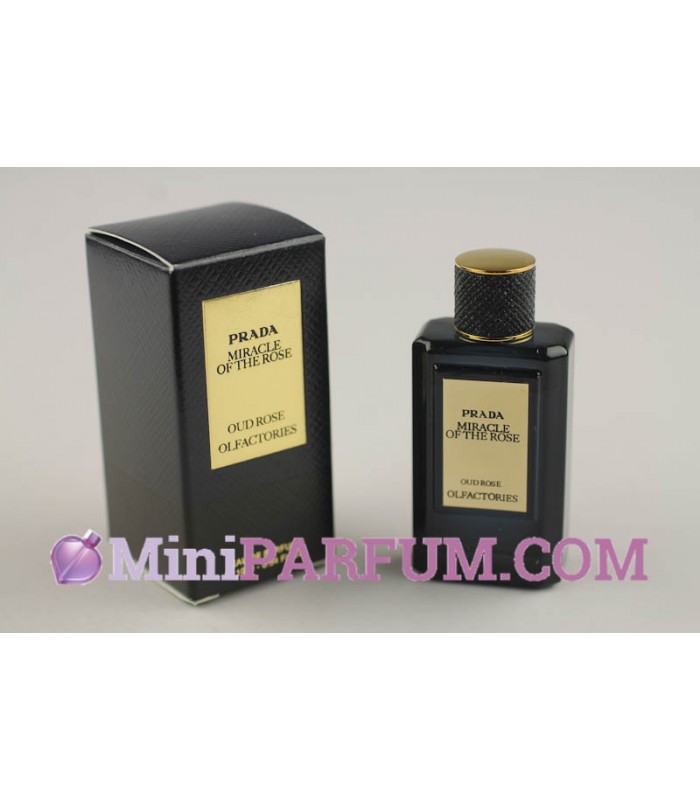 prada rose oud