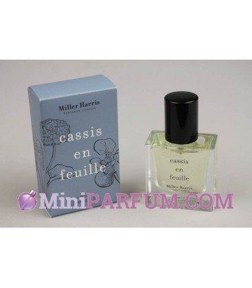 Cassis en feuille